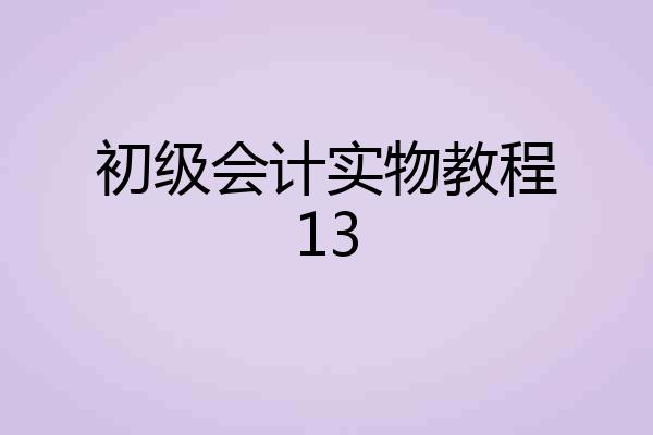 初级会计实物教程13