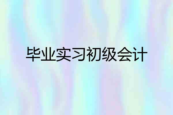 毕业实习初级会计