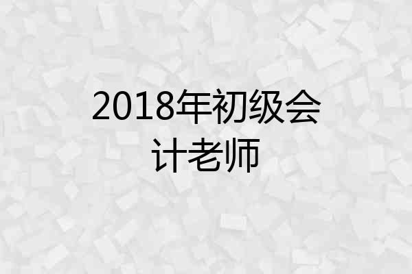 2018年初级会计老师