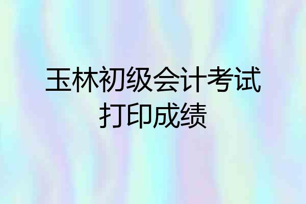 玉林初级会计考试打印成绩