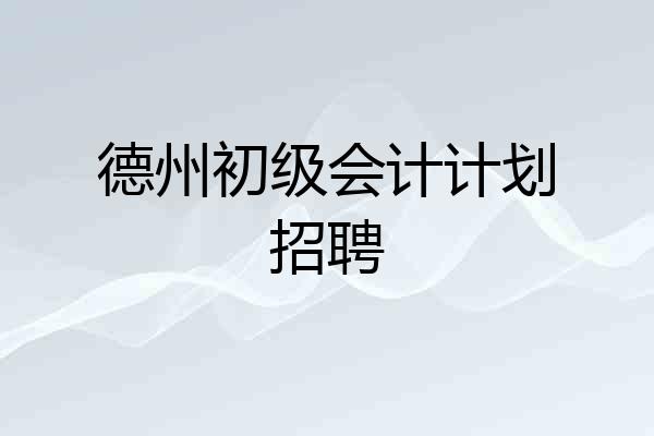 德州初级会计计划招聘