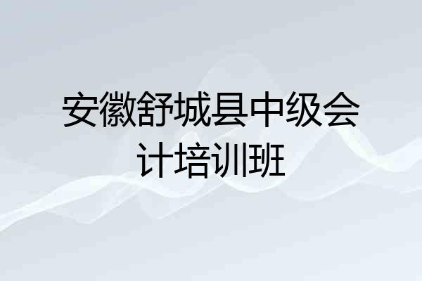 安徽舒城县中级会计培训班