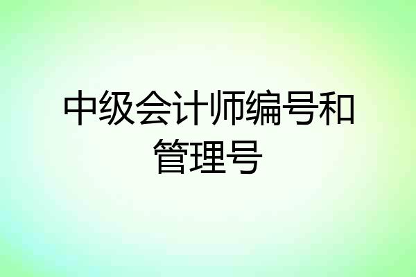 中级会计师编号和管理号