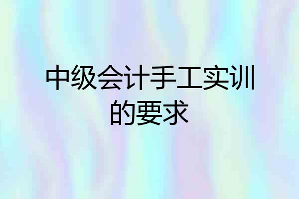 中级会计手工实训的要求