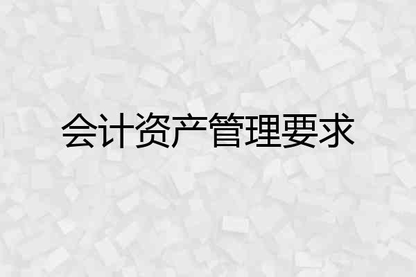 会计资产管理要求
