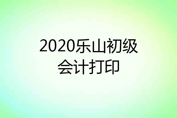 2020乐山初级会计打印