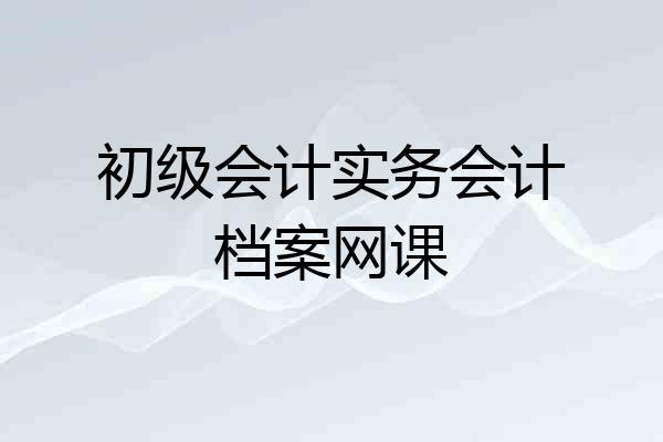 初级会计实务会计档案网课