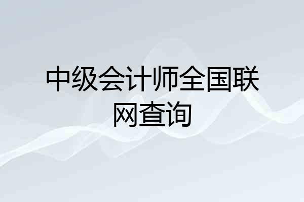中级会计师全国联网查询