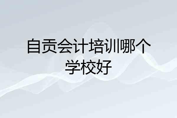 自贡会计培训哪个学校好