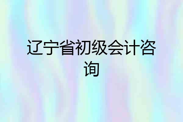 辽宁省初级会计咨询