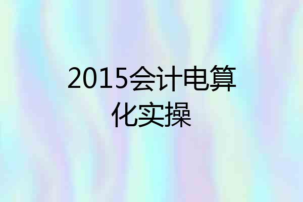 2015会计电算化实操