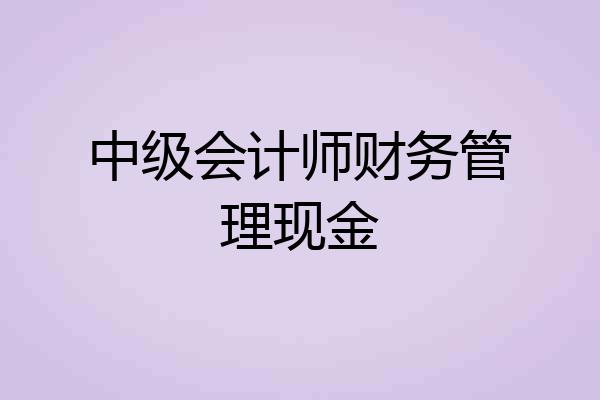 中级会计师财务管理现金