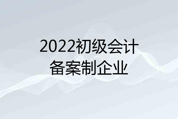 2022初级会计备案制企业
