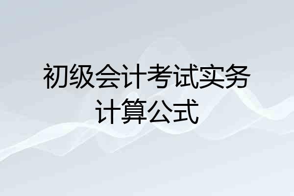 初级会计考试实务计算公式