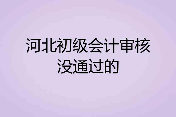 河北初级会计审核没通过的