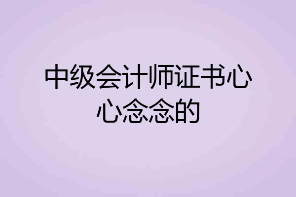 中级会计师证书心心念念的