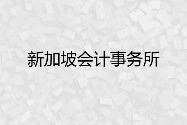 新加坡会计事务所