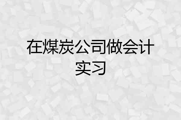 在煤炭公司做会计实习