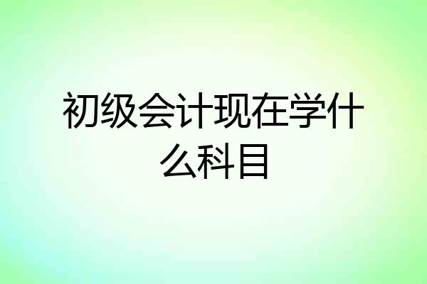 初级会计现在学什么科目