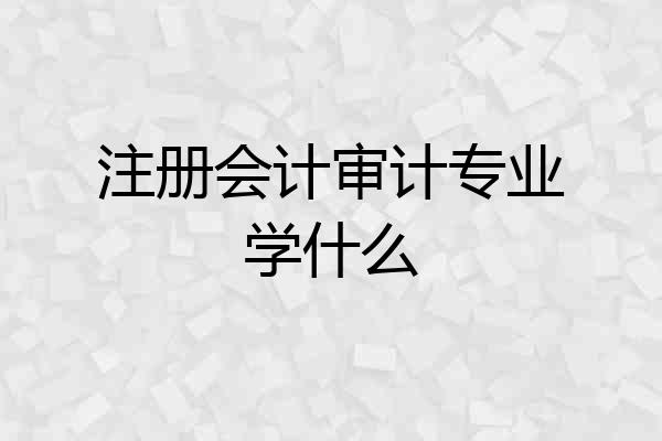 注册会计审计专业学什么