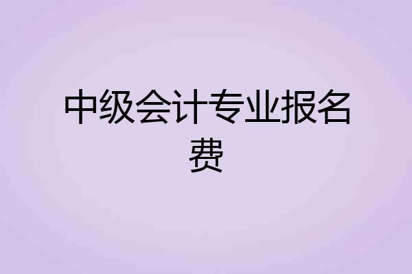中级会计专业报名费