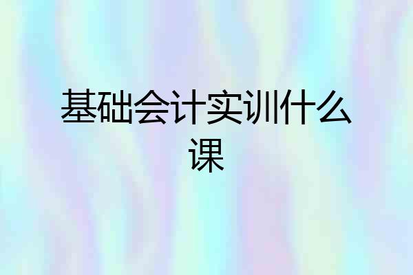 基础会计实训什么课