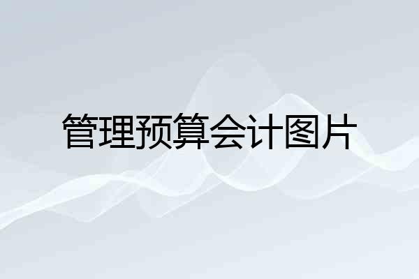 管理预算会计图片