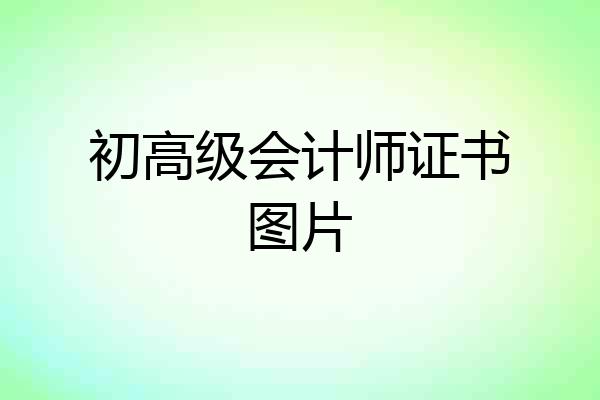 初高级会计师证书图片