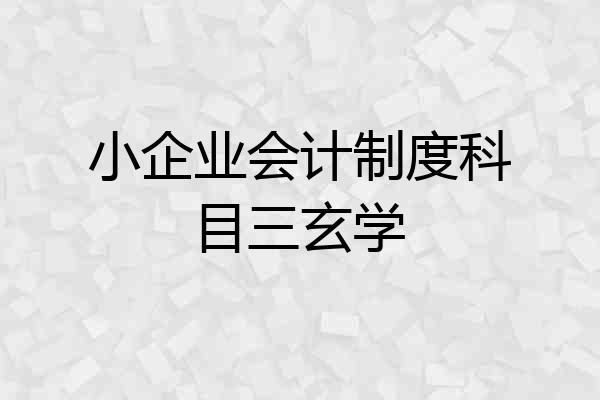 小企业会计制度科目三玄学