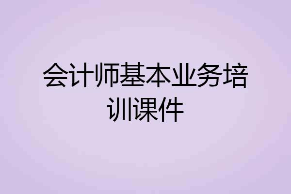 会计师基本业务培训课件