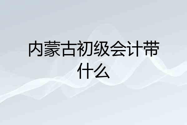 内蒙古初级会计带什么