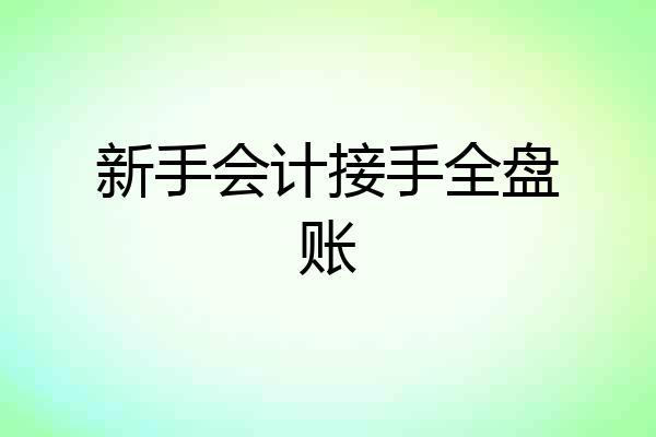 新手会计接手全盘账