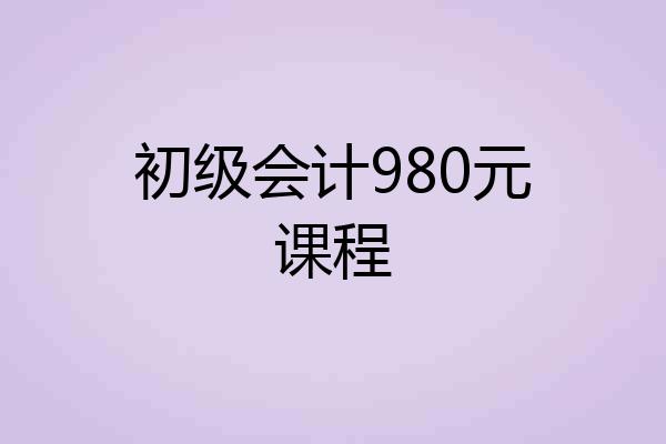 初级会计980元课程