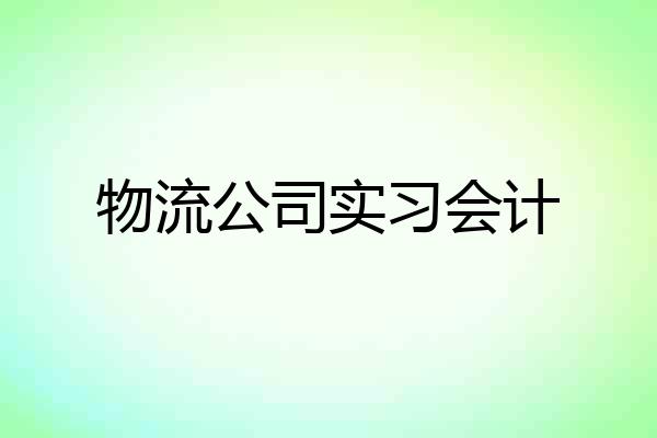 物流公司实习会计