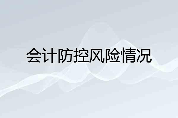 会计防控风险情况