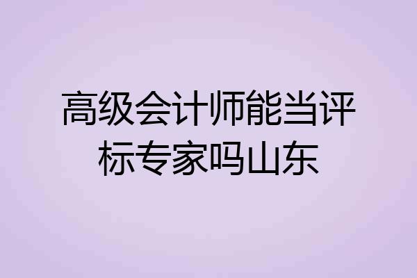 高级会计师能当评标专家吗山东