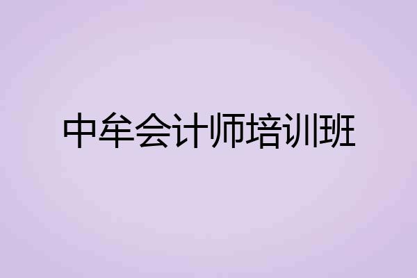 中牟会计师培训班