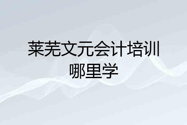 莱芜文元会计培训哪里学