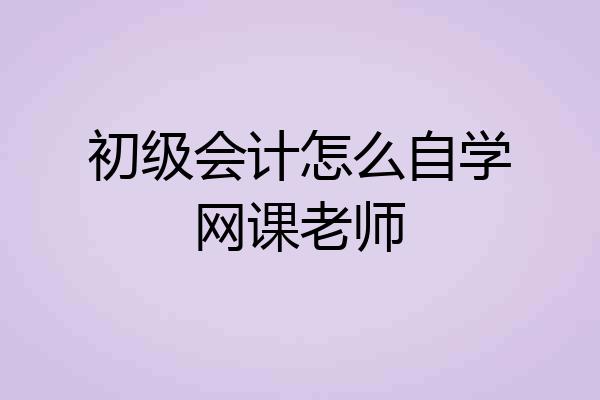 初级会计怎么自学网课老师