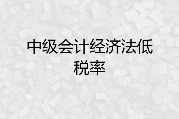 中级会计经济法低税率