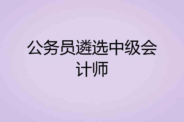 公务员遴选中级会计师
