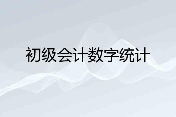 初级会计数字统计