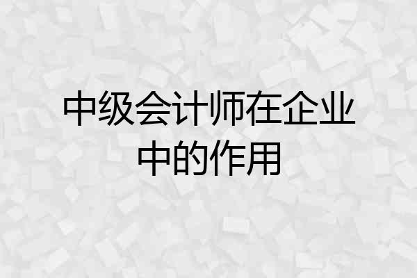中级会计师在企业中的作用