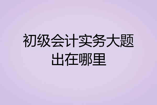 初级会计实务大题出在哪里