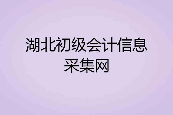 湖北初级会计信息采集网