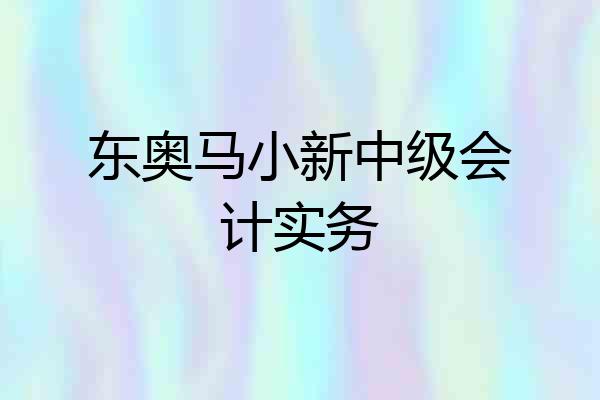 东奥马小新中级会计实务