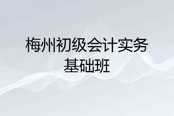 梅州初级会计实务基础班
