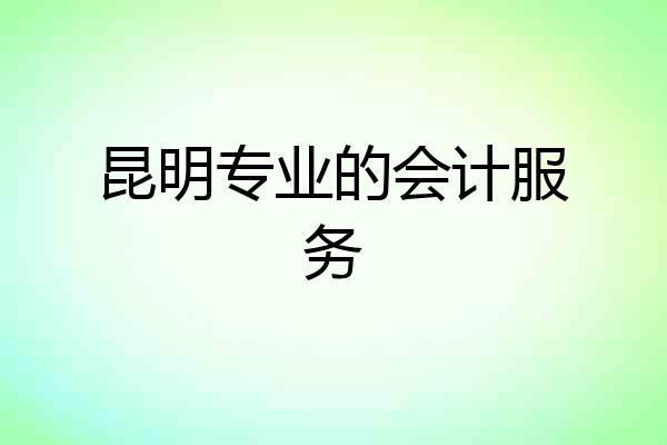 昆明专业的会计服务
