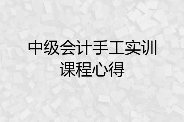 中级会计手工实训课程心得
