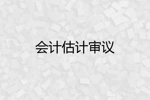 会计估计审议